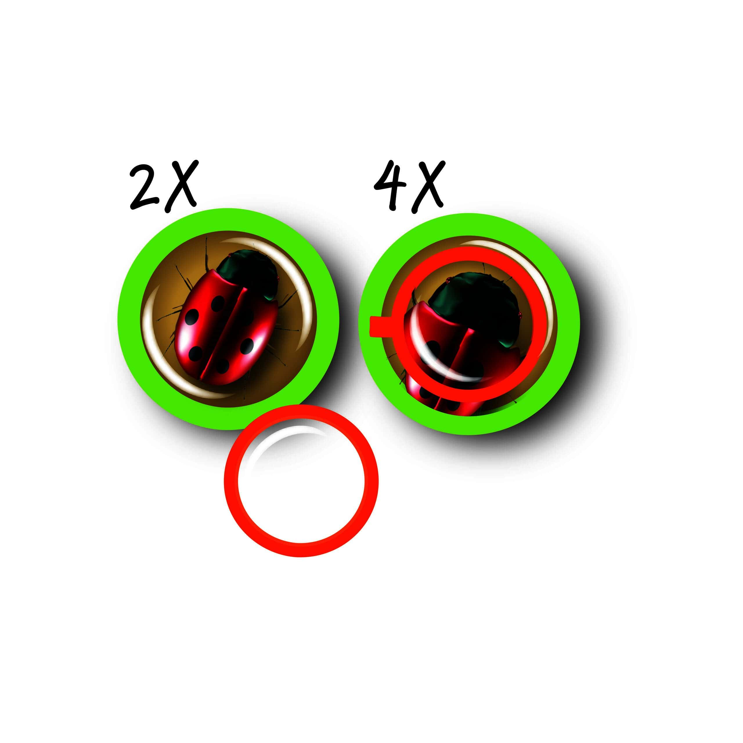 Strumento didattico per bambini Navir Bug Viewer Plus - STEM - immagine 2