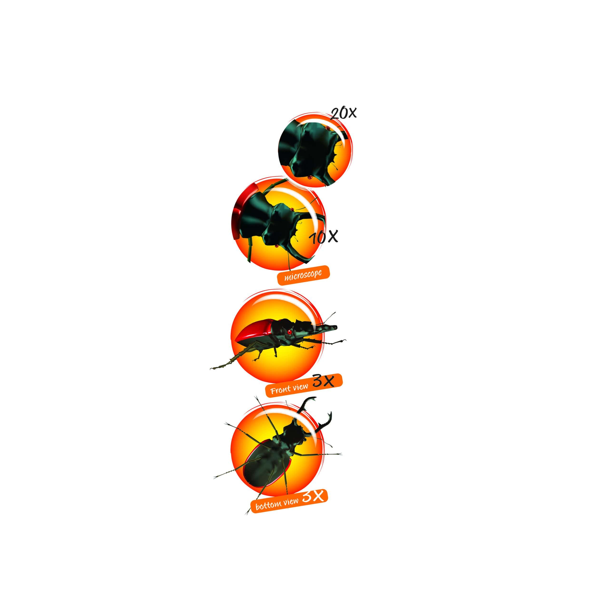 Strumento didattico per bambini Navir Buggy Ultra Viewer - STEM - immagine 2