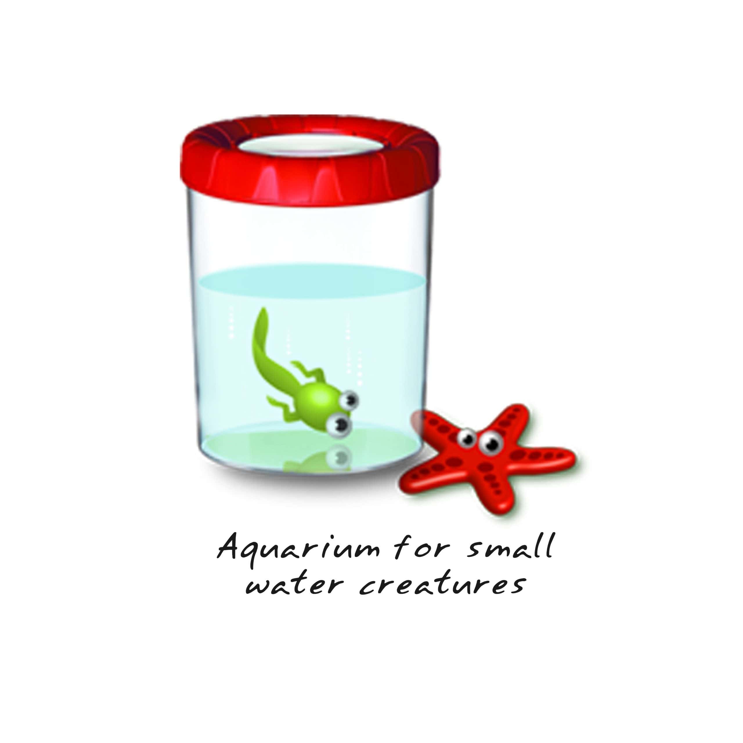 Strumento didattico per bambini Navir Mega Bug Viewer - STEM - immagine 2