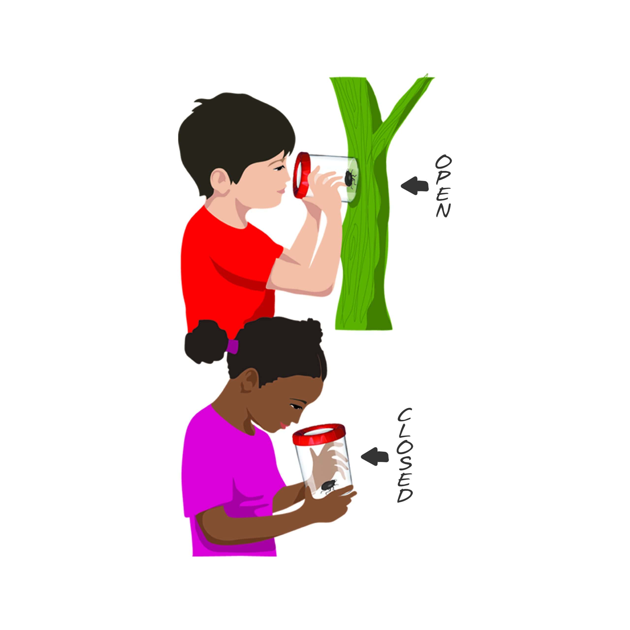 Strumento didattico per bambini Navir Mega Bug Viewer - STEM - immagine 4