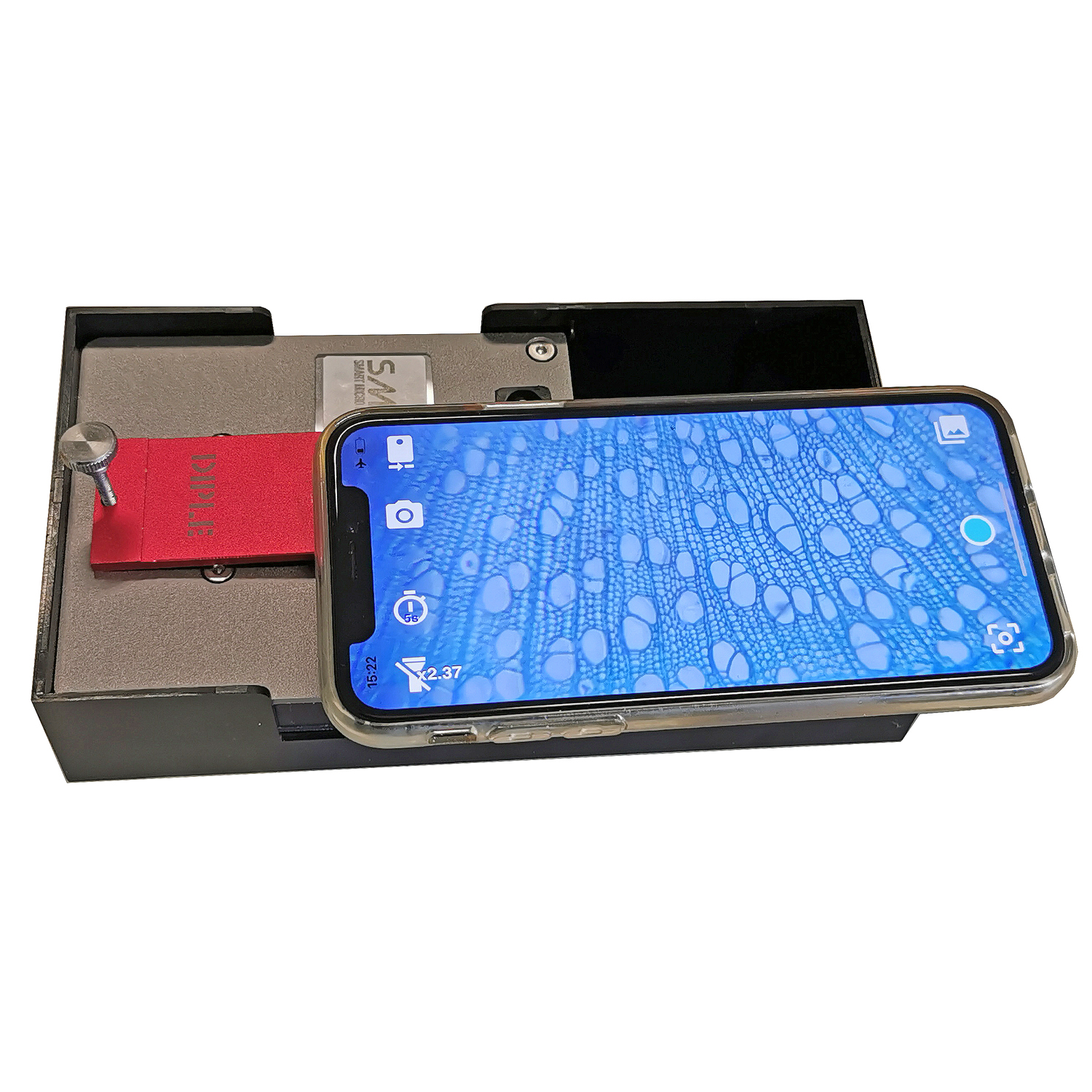 DIPLE RS (Red & Standard Stage) - immagine 5