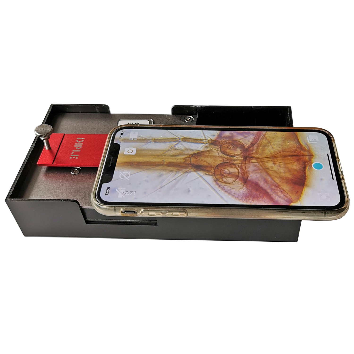 DIPLE RS (Red & Standard Stage) - immagine 4