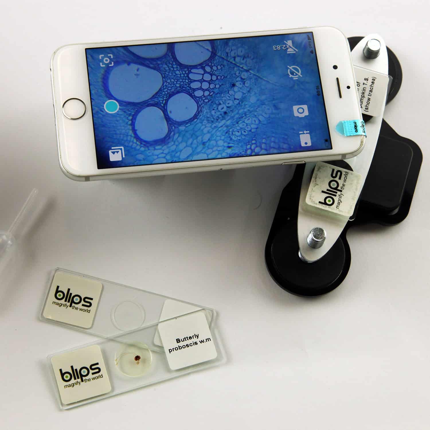 NUOVO Blips LabKit 2 - immagine 10