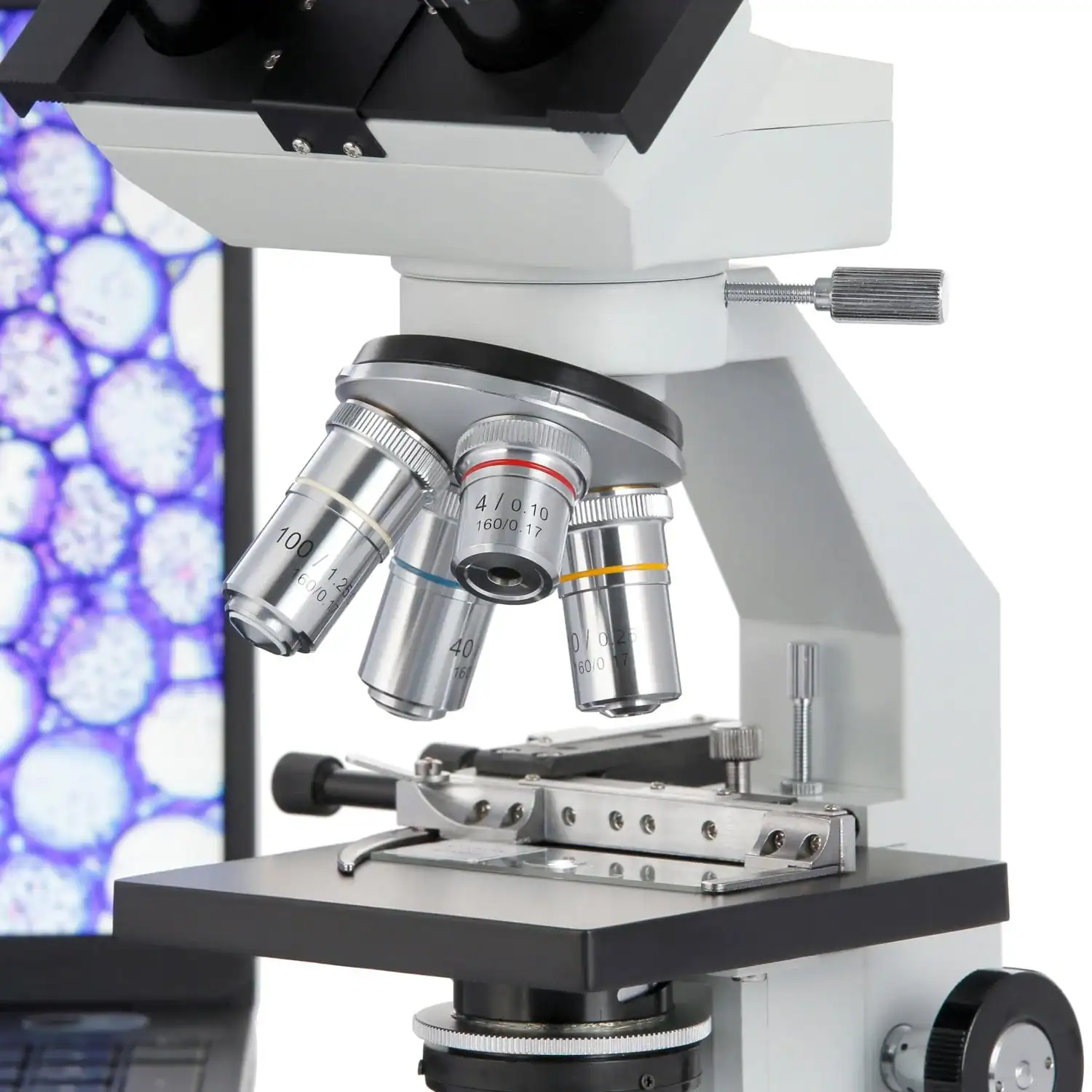 AmScope - Microscopio binoculare biologico - immagine 3